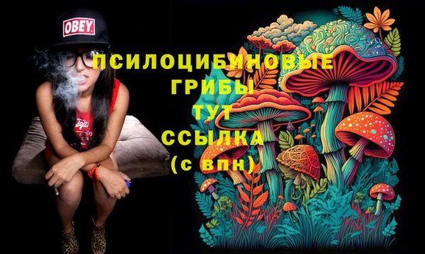 гашик Балахна