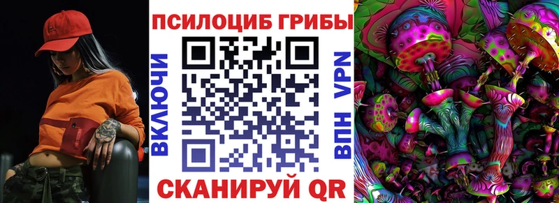 магазин продажи наркотиков  Куйбышев  KRAKEN ONION  Псилоцибиновые грибы мицелий 